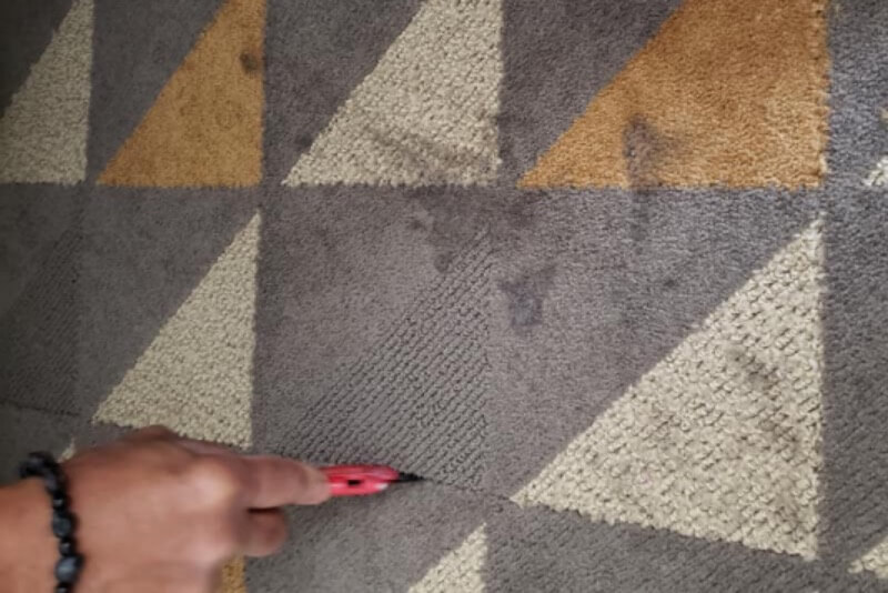 Carpet Cleaning, Orlando, FL