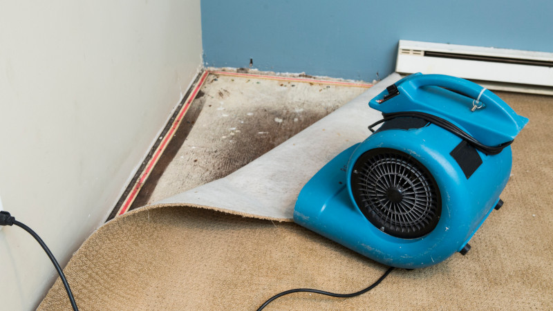 Water Damage in Orange County, Florida