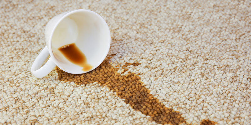 3 Tips for Effective Carpet Stain Removal