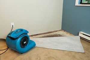 What to Do When You Need Water Damage Cleanup