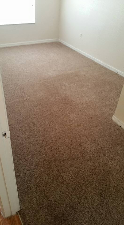 Carpet Cleaning in Orlando, Florida